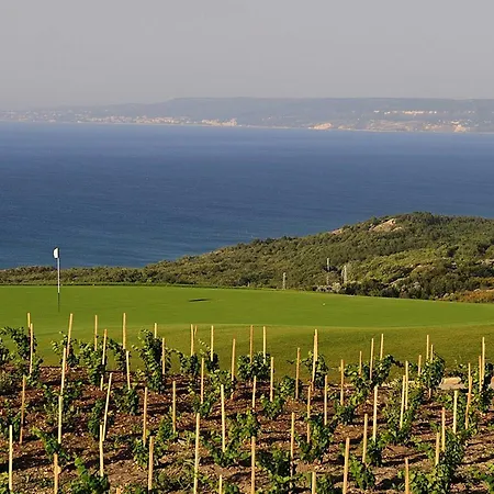 Club At Blacksearama Golf